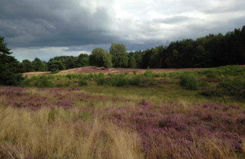 Müllers Bauernhof - Foto 47