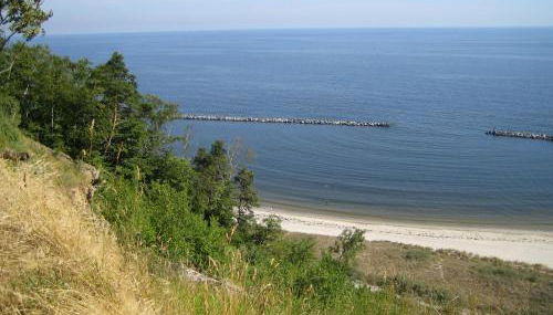 Am Küstenwald - Foto 5