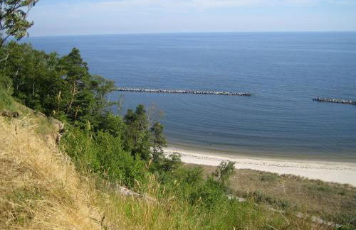 Am Küstenwald - Foto 5