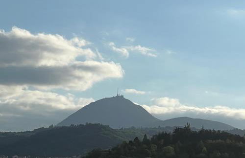 Un havre de paix en plein coeur de ville près Chu - Foto 9