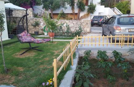 γαληνη - Foto 13