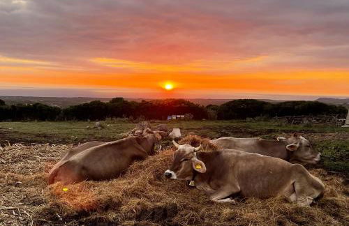 Agriturismo S'Ispiga - Foto 6