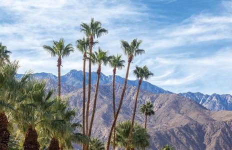 Family fun in Palm Springs in this resort 2BD condo with resort amenities including kids pool - Foto 19