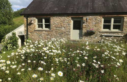 Danygraig Cottage - Foto 22