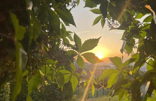 Holiday Home Kleines Ferienhaus mit Garten und Grill in Garitz by Interhome - Photo 11