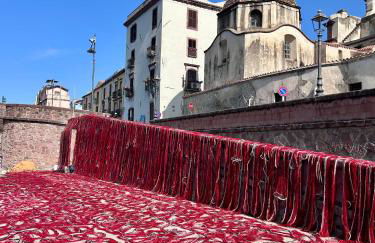 Domu Malaspina - Photo 47