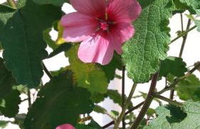 Le Pigeonnier - TG2260 - Foto 26