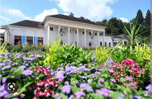 A&A Apartment Baden-Baden - Foto 22