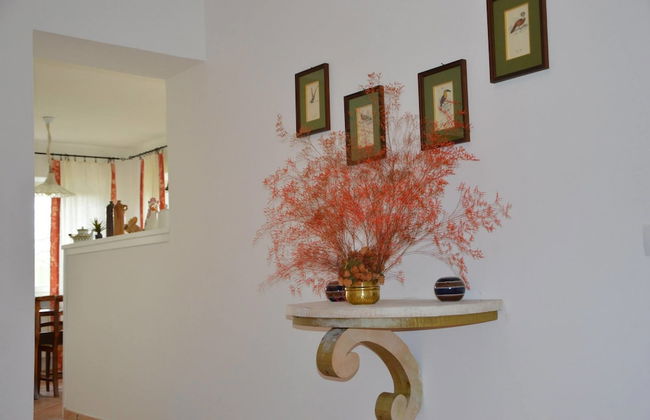 Agriturismo Tenuta Buon Respiro - Foto 16