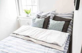 FeWo Waldblick - Foto 18