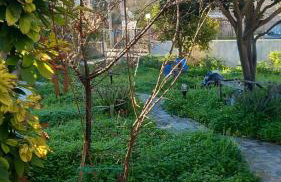 Pavlos apartment - Foto 5