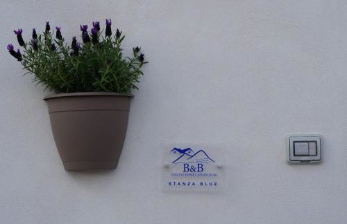 Vesuvio Home Capodichino Blu - Photo 49