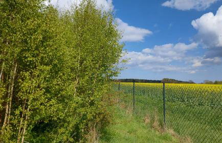 Brzozowa Polana - Foto 12