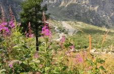 La Casetta di Lele e Schina - Photo 71