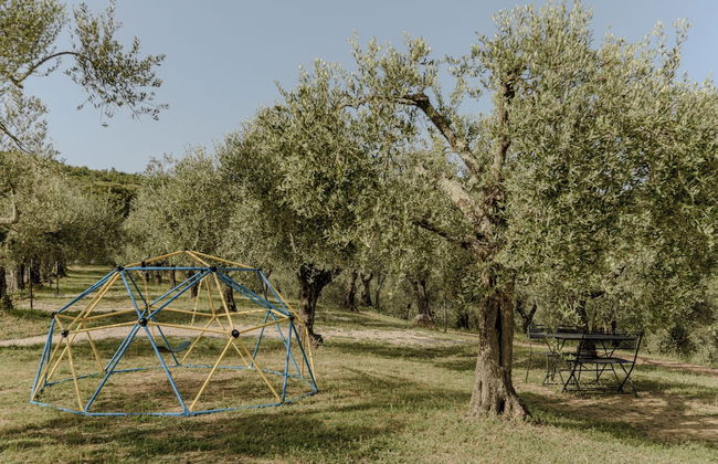 Il Mulino delle Canutole - Foto 63