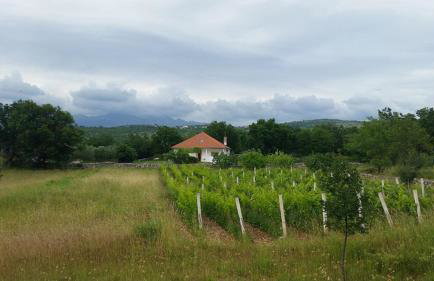 Holiday house Tunjarice - Foto 32