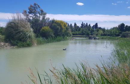 La maison des Amis - Foto 19