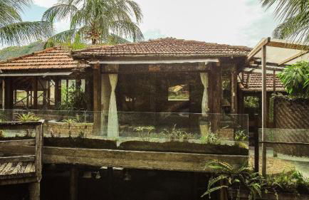 Morro da Luz - Ypê GreenHouse - Foto 8