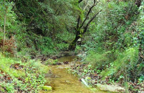 George's Apartments - Foto 29