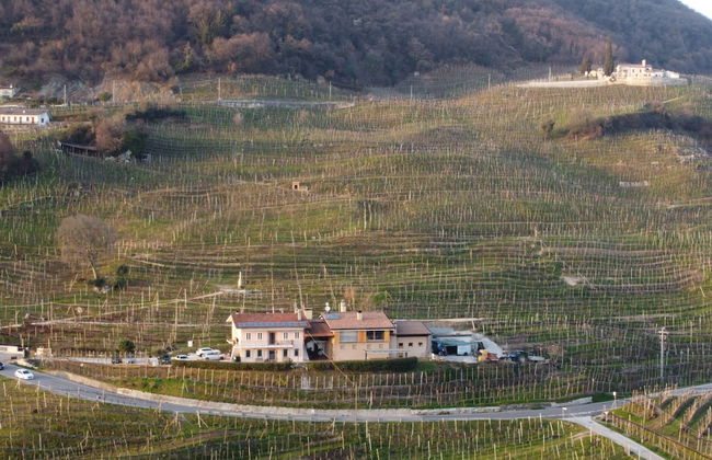 AGRITURISMO B&B CASA BORTOLIN - Foto 29