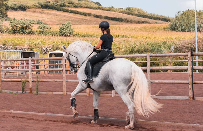 Lusitano Garden Villas - Foto 56