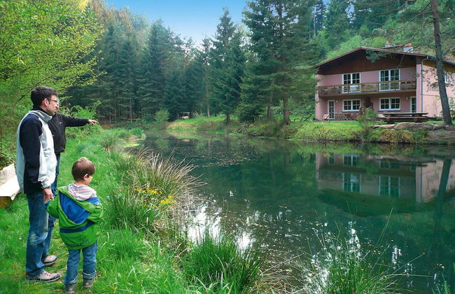 Holiday Accommodation in the Zorn Valley - Foto 14