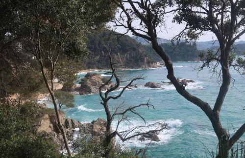 Apartamento Blanes playa (Costa Brava) - Foto 31