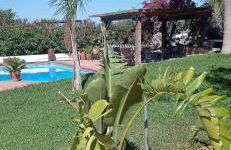 La Luciérnaga - Foto 55