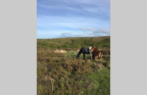 Barton Cottage - Foto 29