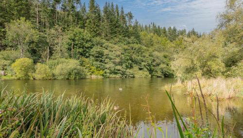 2 Bed in Pooley Bridge oc-r33740 - Photo 3, Other