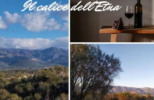 Il Calice dell'Etna - Foto 1