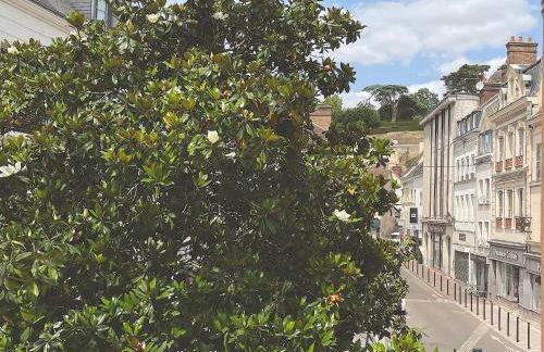 Vue Royale, rue pietonne, Cœur de Ville, lumineux - Foto 13