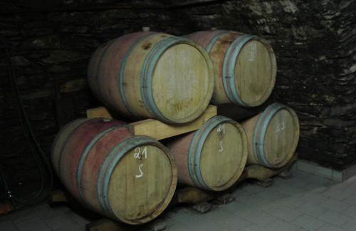 Ferienwohnung Weingut Thielen-Nilles - Foto 17