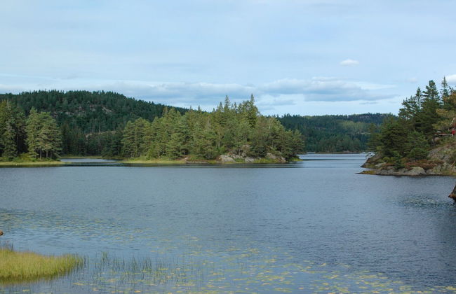 Øygårdsheia - Foto 17