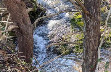 Three Springs Plus - Foto 9