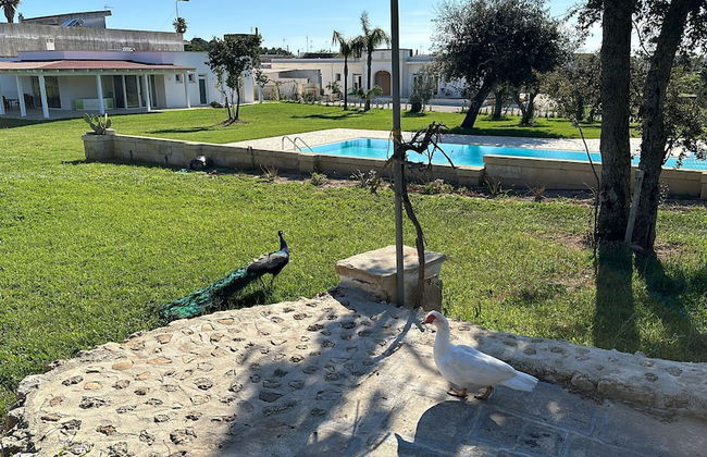 Tenuta Cursano - Foto 41