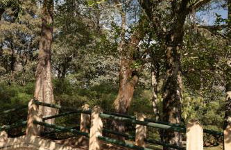 TEKOÁ - Cabana Pitanga - Barreiro, Araxá - Foto 68