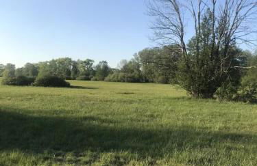 Ferienwohnung auf dem Gemüsehof an der Spree - Foto 11