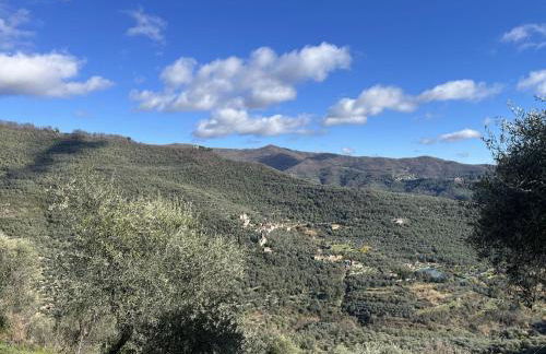 Apartment Mimosa - VLO200 by Interhome - Foto 34