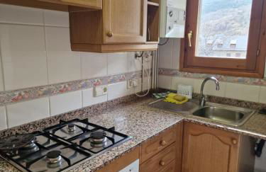 Espot Natura - Apartament de muntanya al PN Aigüestortes i Sant Maurici - Photo 23