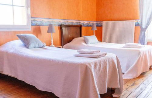 Les oiseaux - Foto 44