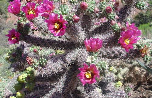 Cathedral Casita at Sedona Cathedral Hideaway LLC - Foto 38