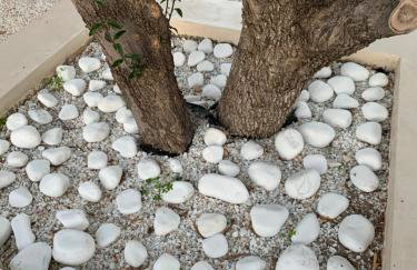 Villa Thea - Foto 77