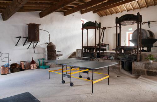 Casa Dr Ramiro Salgado - Douro Superior, Torre de Moncorvo - Foto 38