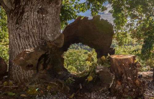 Casa Rural Castillo JABUGO - Foto 32