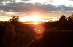 Achterwasser Blick - Foto 26