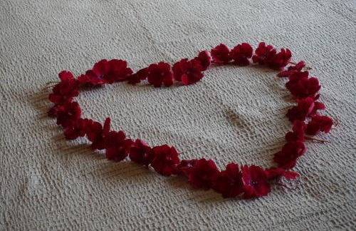 Agriturismo Fattoria Monte Baldo VISTA LAGO - Foto 59