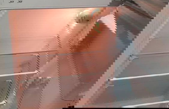 Studio Flat in Lovely Alexandra Palace, London - Foto 7