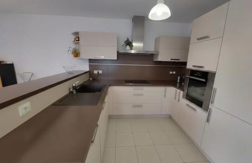 Le Balcon du Laudon Au cœur de St Jorioz spacieux appartement avec terrasse et vue montagne - Photo 10