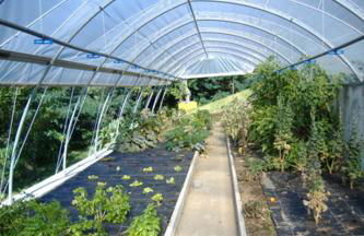 Agriturismo Runchee - Foto 25